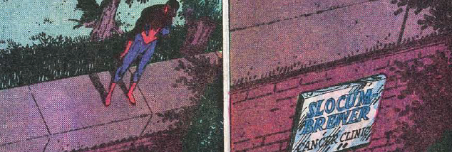 Big Box of Comics: Kid Who Collects Spider-Man